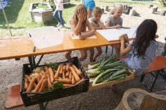 2017-08_Zeltlager-33