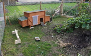 Homepage-Hühnerstall